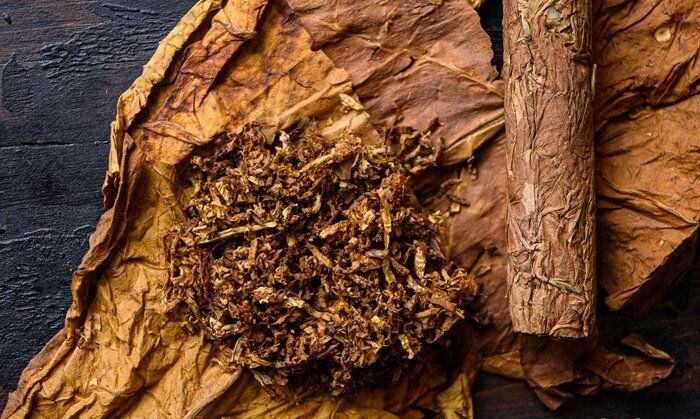 Tambaku Tobacco